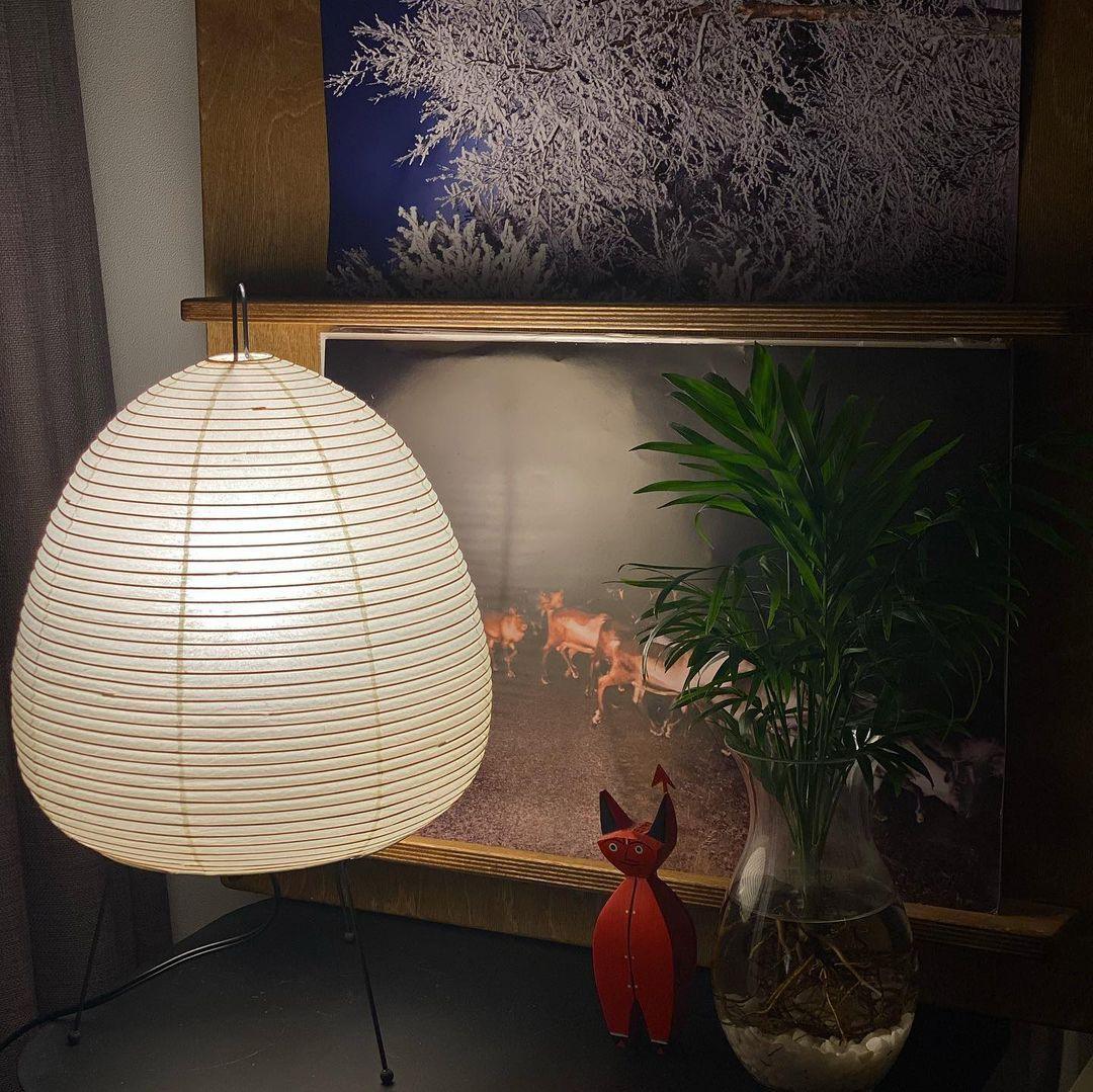 Lampe de table japonaise Pélvionalis