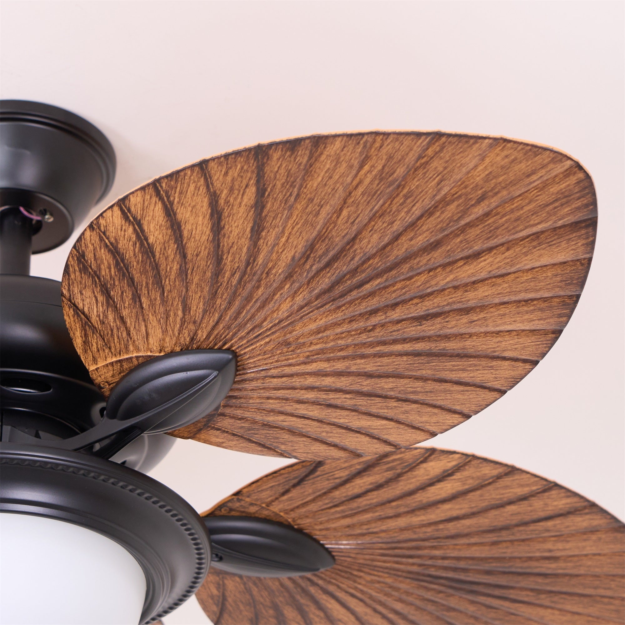 Plafonnier ventilateur Raavel