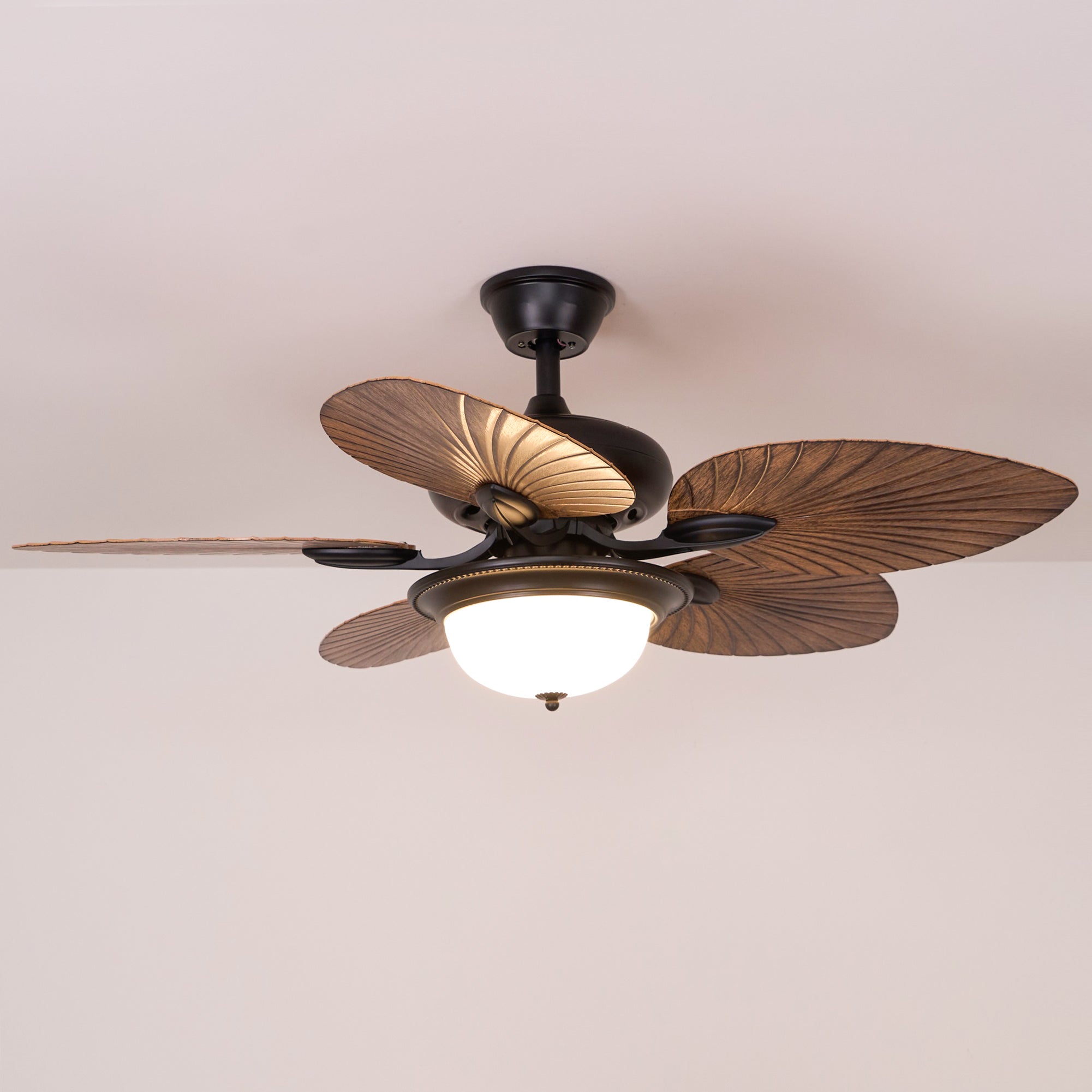 Plafonnier ventilateur Raavel