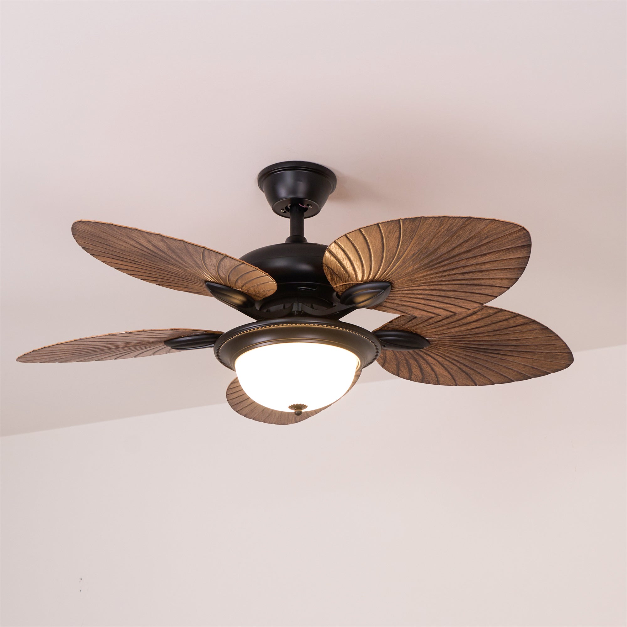 Plafonnier ventilateur Raavel