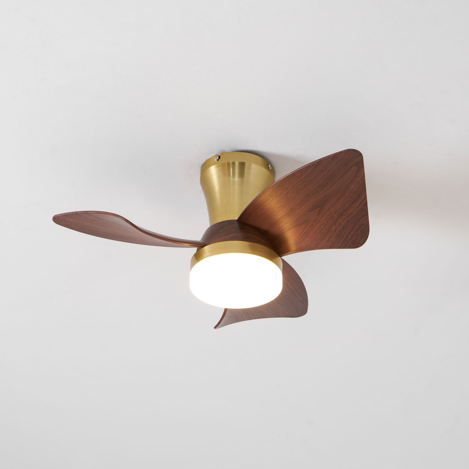 Plafonnier ventilateur Sorielis