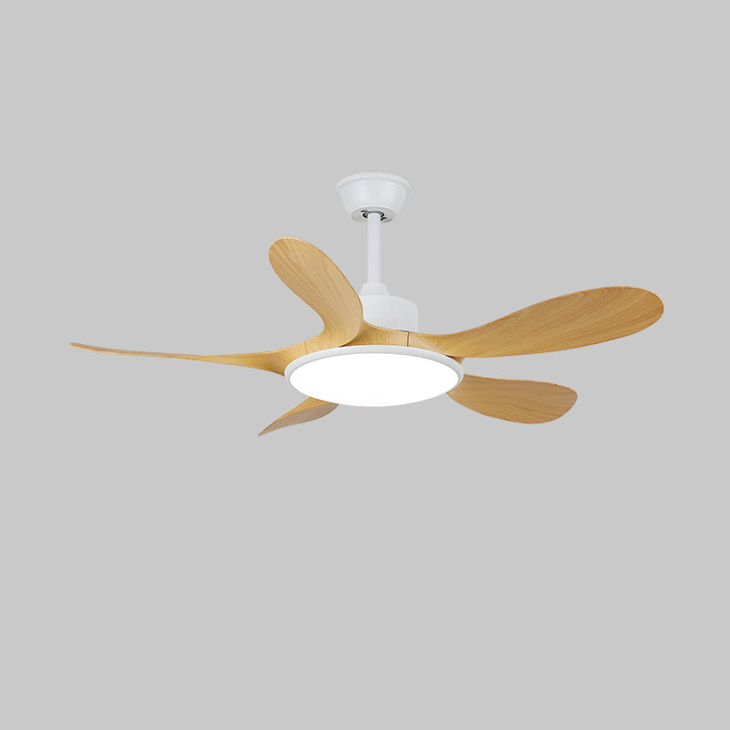 Ventilateur plafonnier Ruereno
