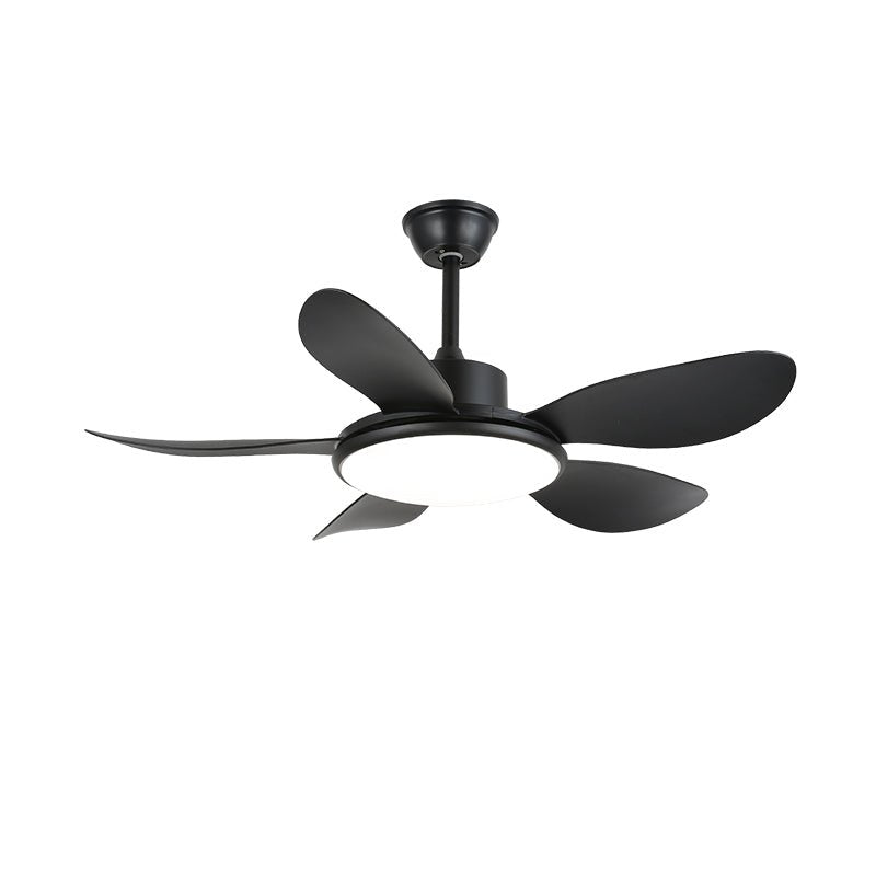Ventilateur plafonnier Ruereno