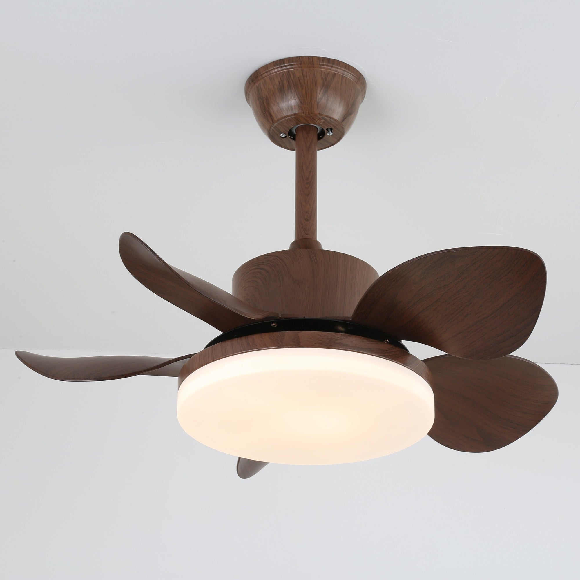 Plafonnier ventilateur Lilienova