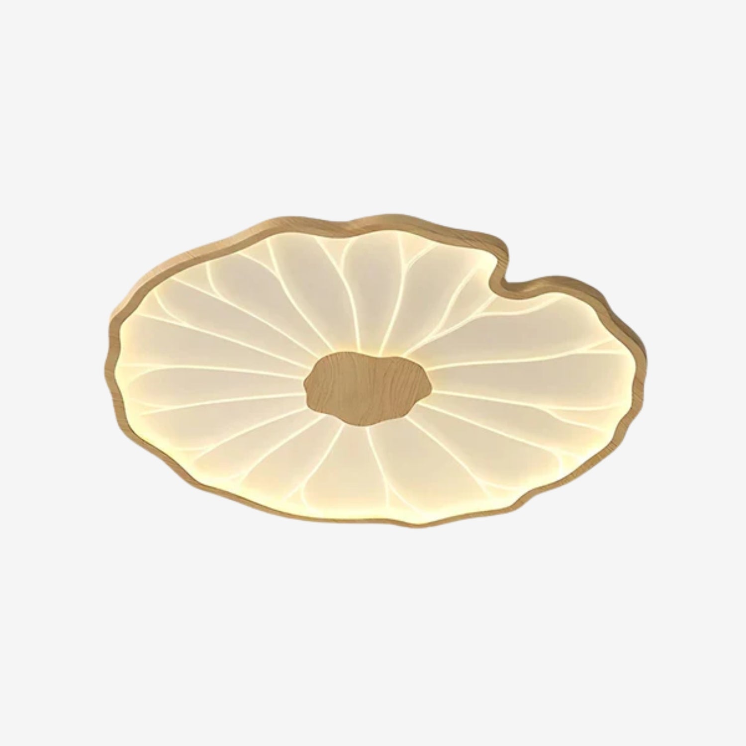 Plafonnier Renosa Leaf
