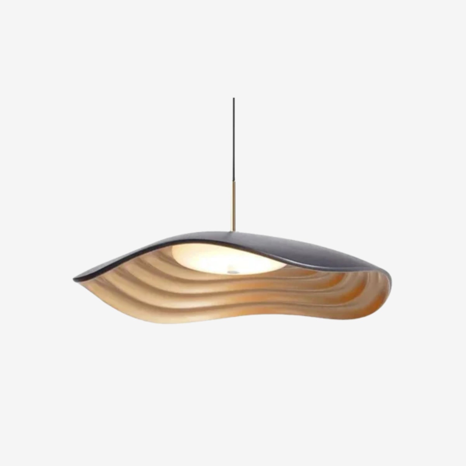 Suspension Brionelle Arc