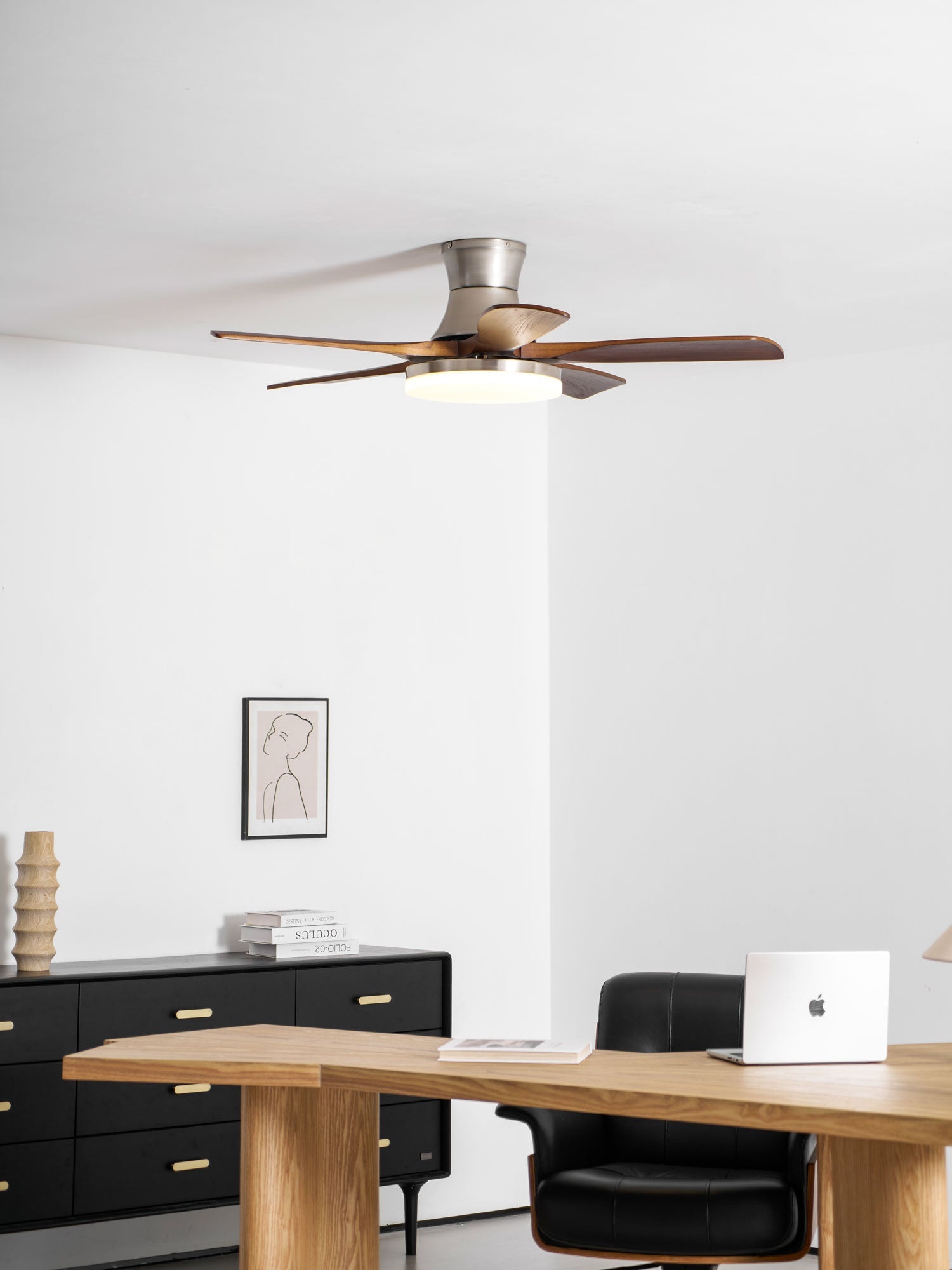 Plafonnier ventilateur Iruneo