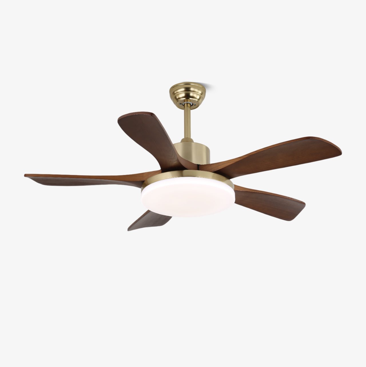 Plafonnier ventilateur Liaroris