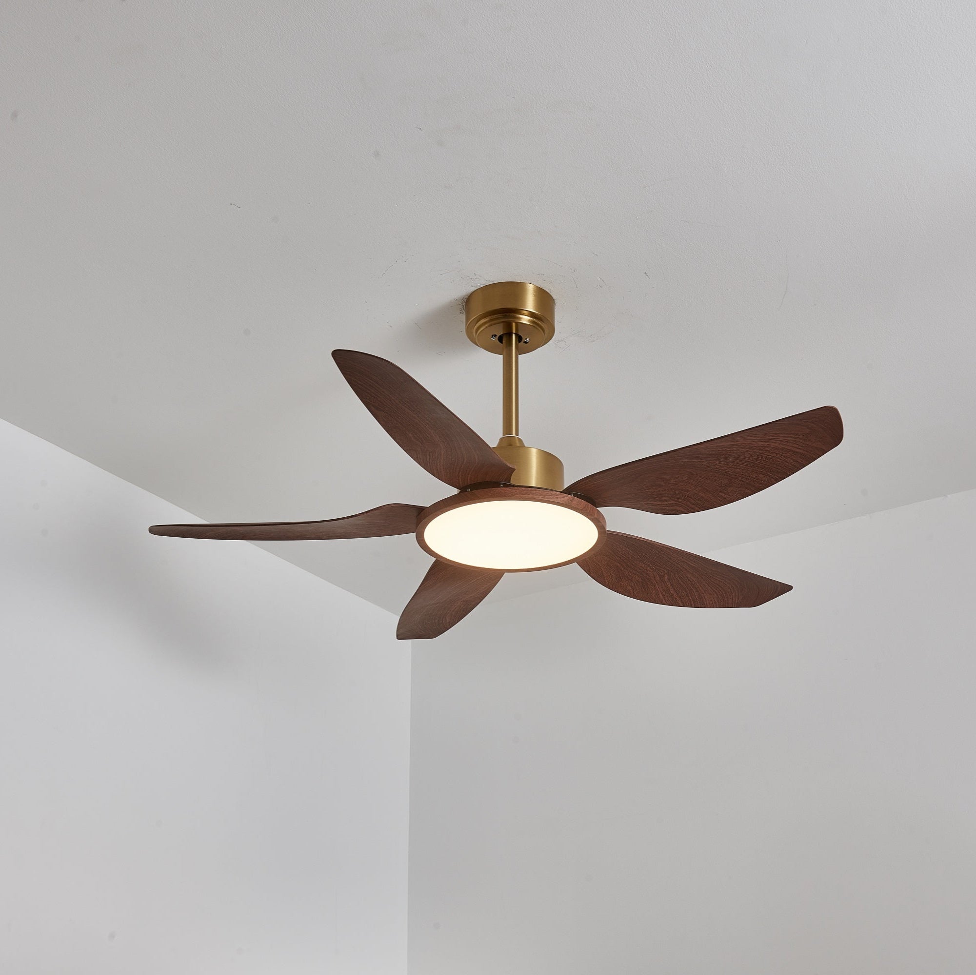 Plafonnier ventilateur Torbelvian
