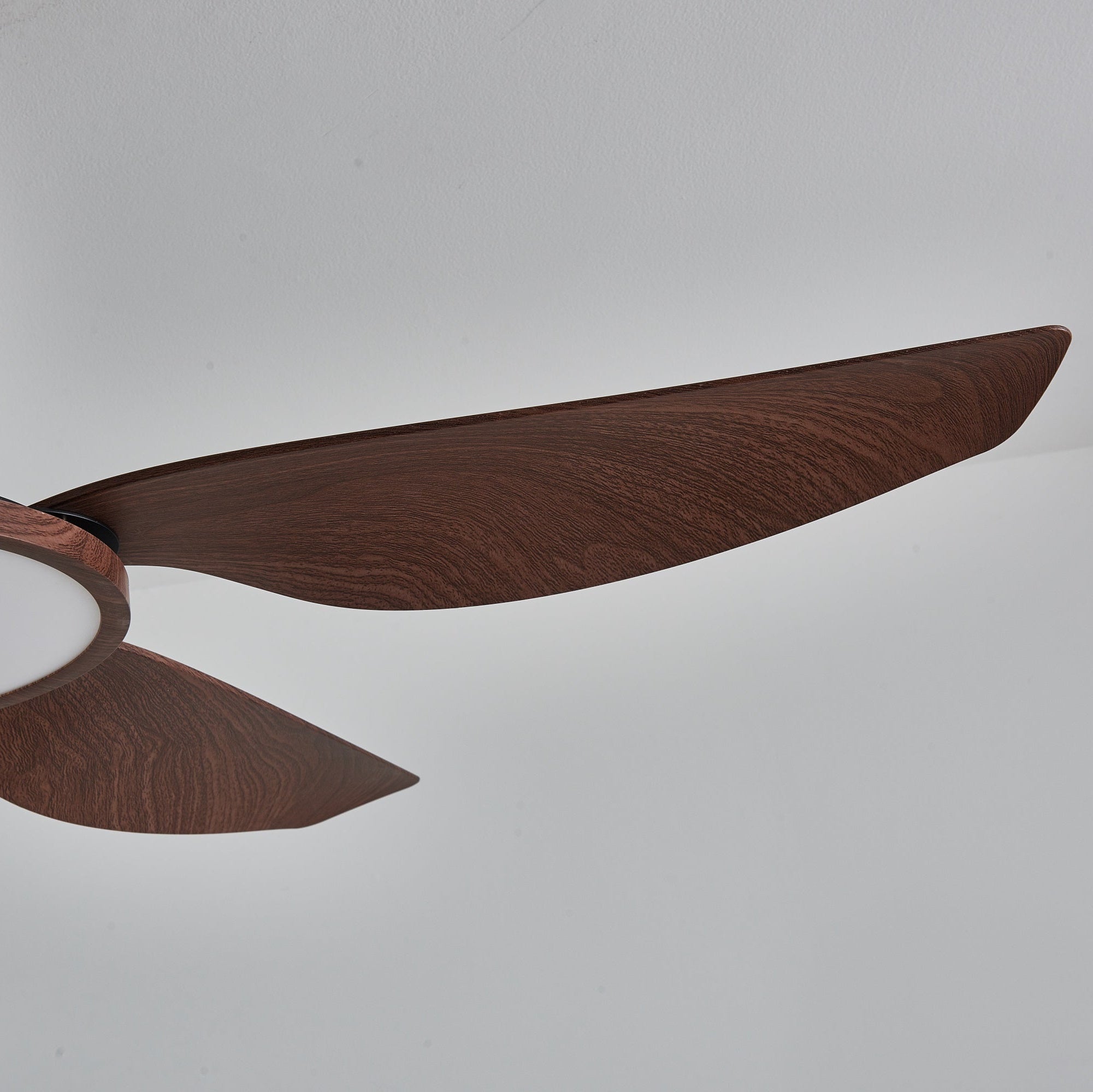 Plafonnier ventilateur Torbelvian