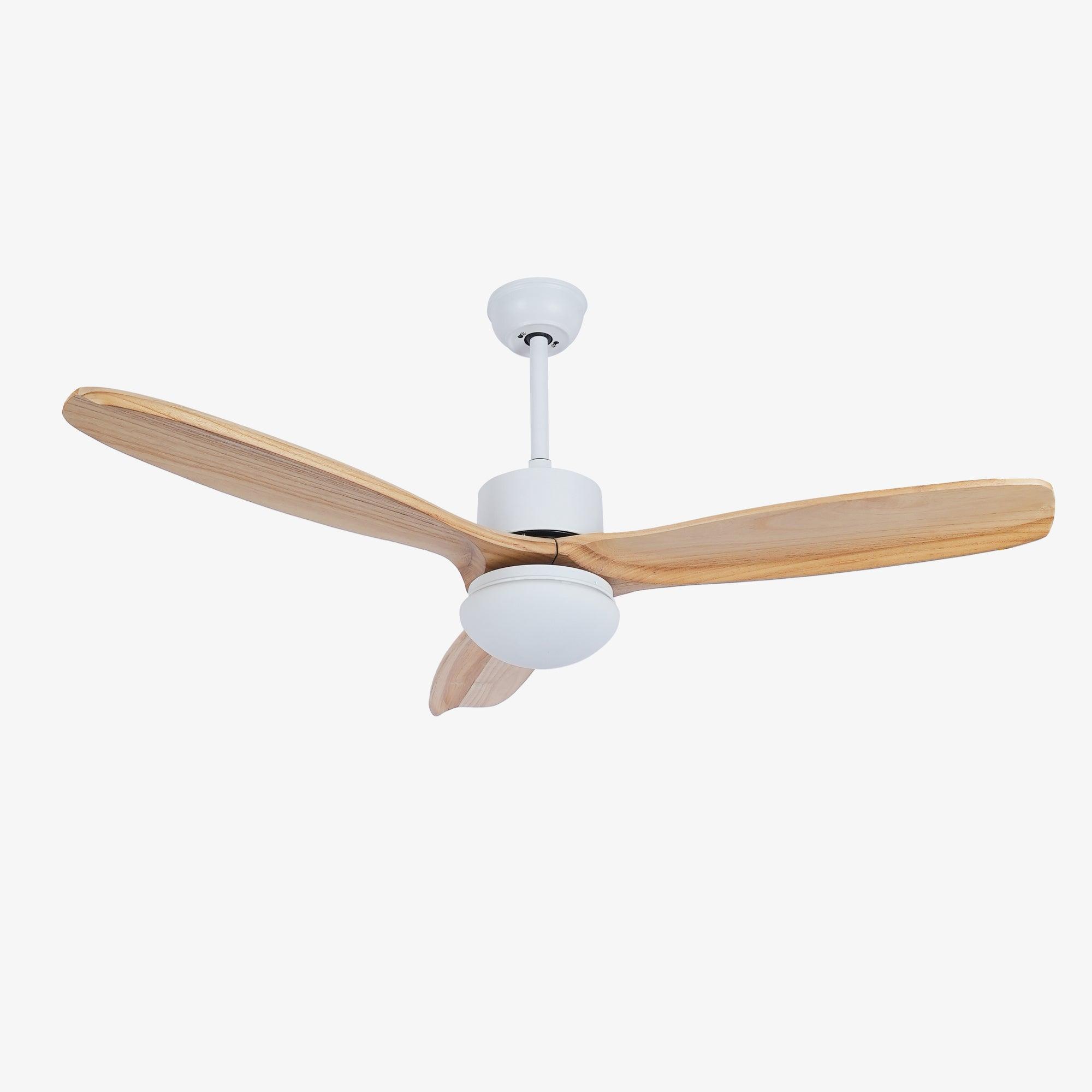 Plafonnier ventilateur Duuiné