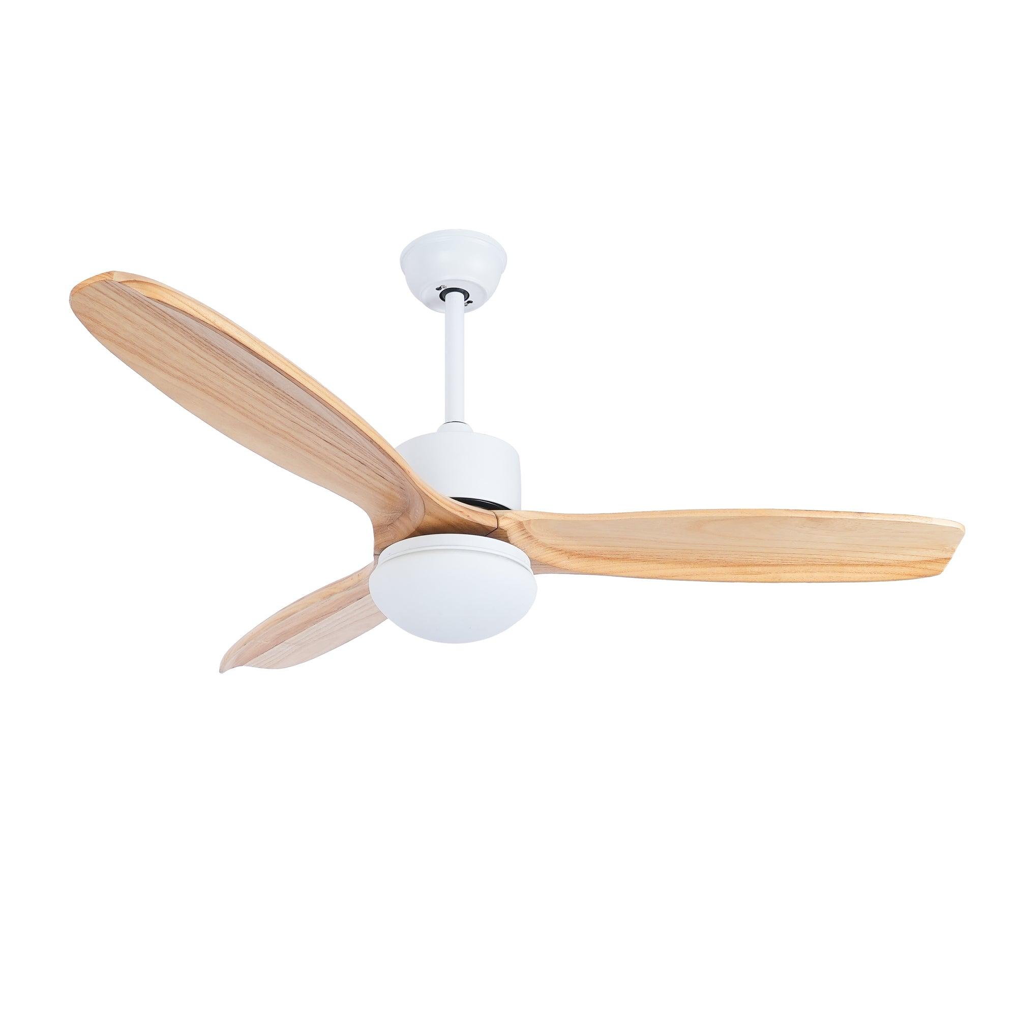 Plafonnier ventilateur Duuiné
