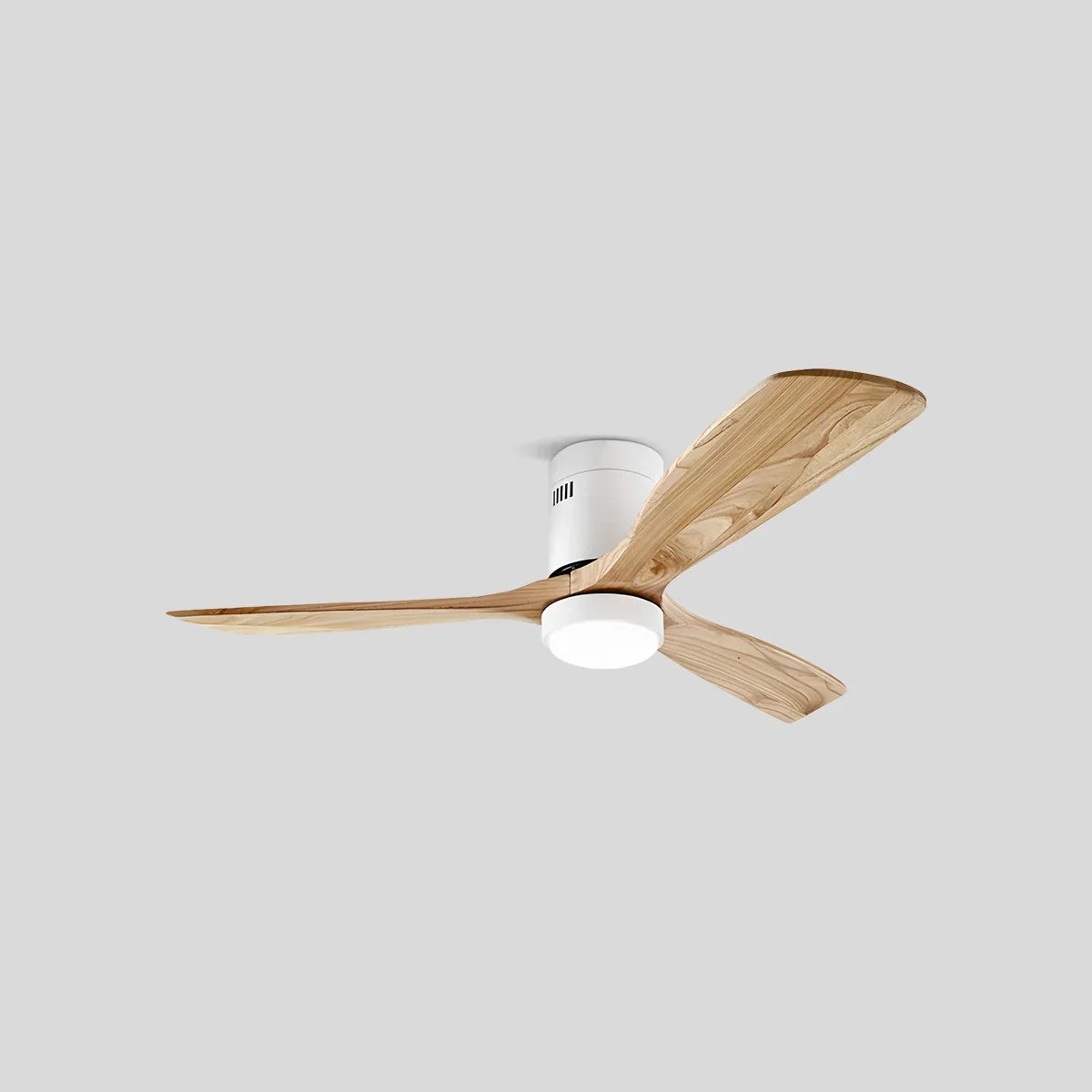 Ventilateur de plafond Ravelle
