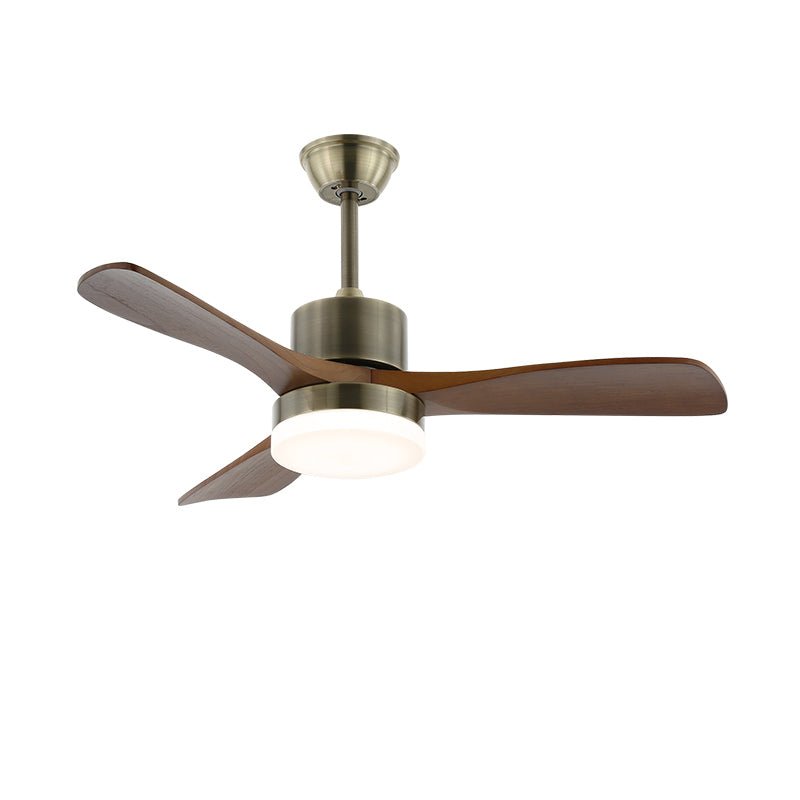Plafonnier ventilateur Pelnovoris
