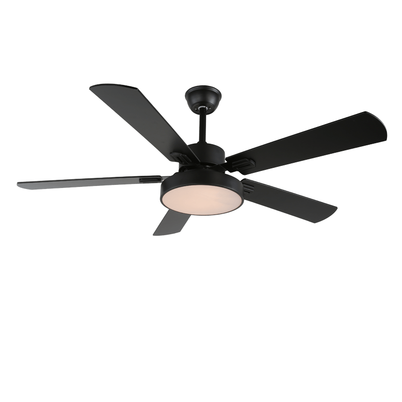 Plafonnier ventilateur Licaleco
