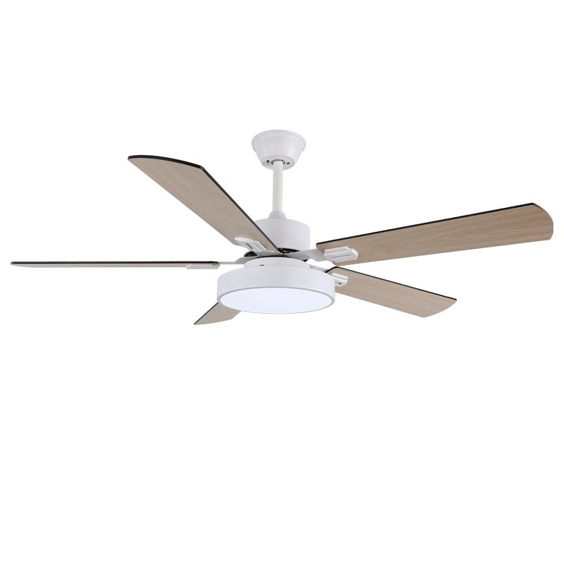 Plafonnier ventilateur Licaleco