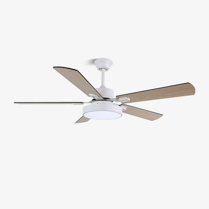 Plafonnier ventilateur Licaleco
