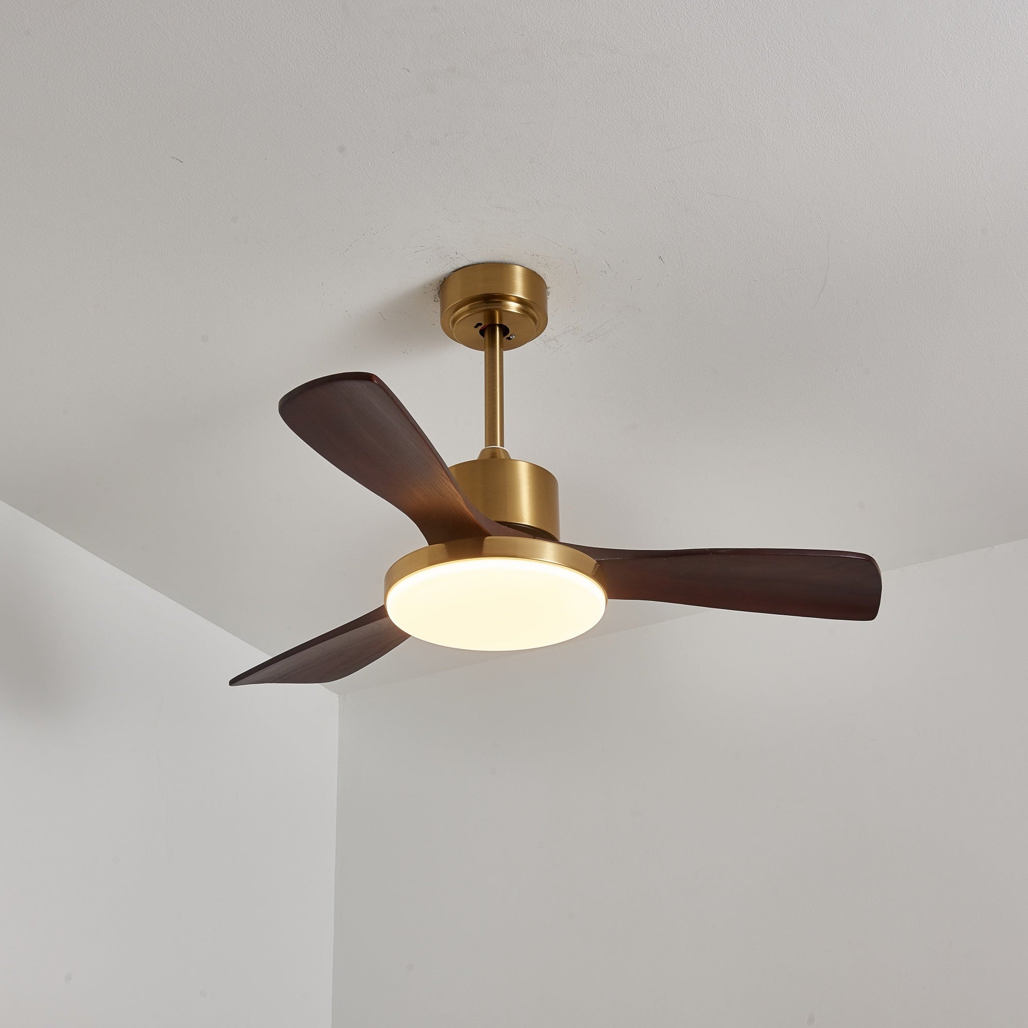 Plafonnier ventilateur Ouvigne