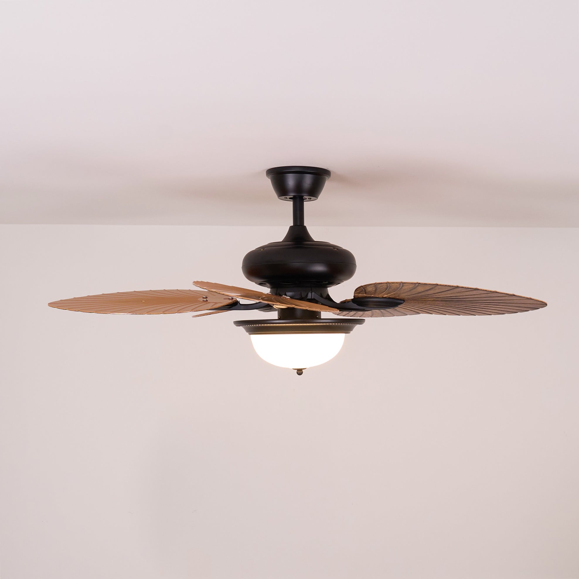 Plafonnier ventilateur Raavel
