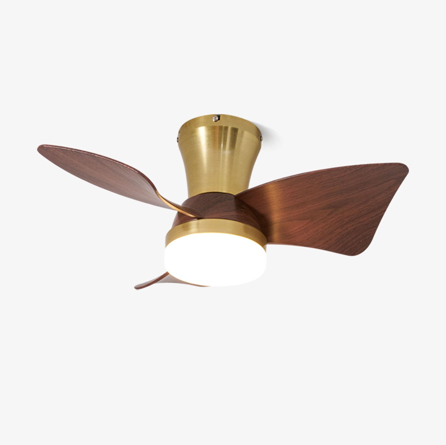 Plafonnier ventilateur Sorielis