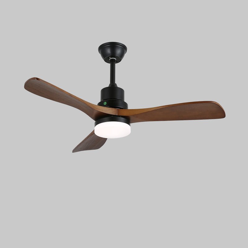Plafonnier ventilateur Delluxor