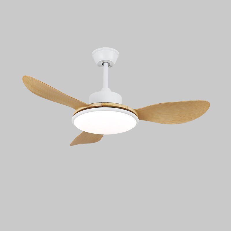 Ventilateur plafonnier Ruereno