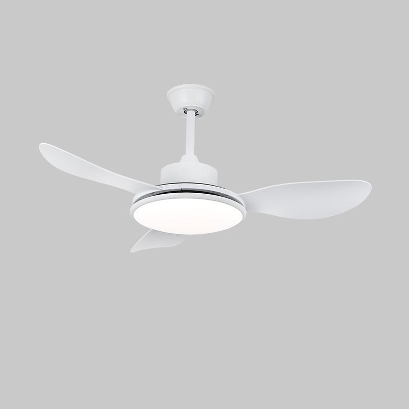 Ventilateur plafonnier Ruereno