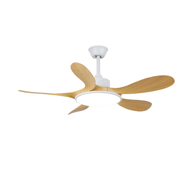 Ventilateur plafonnier Ruereno
