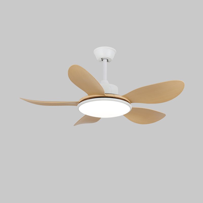 Ventilateur plafonnier Ruereno