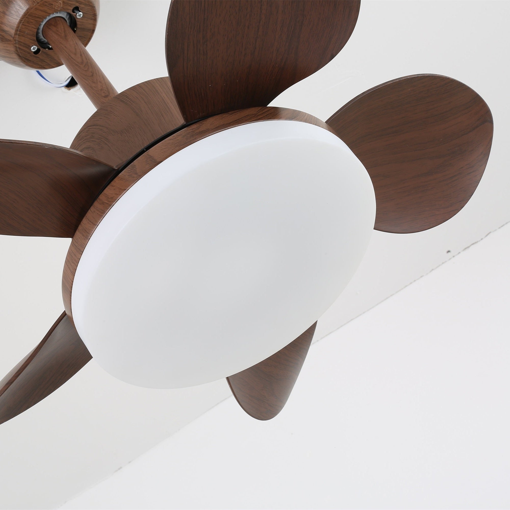 Plafonnier ventilateur Lilienova
