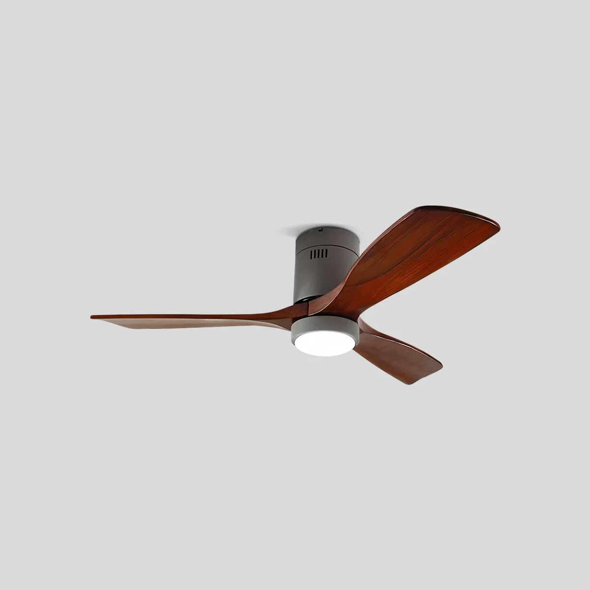 Ventilateur de plafond Ravelle