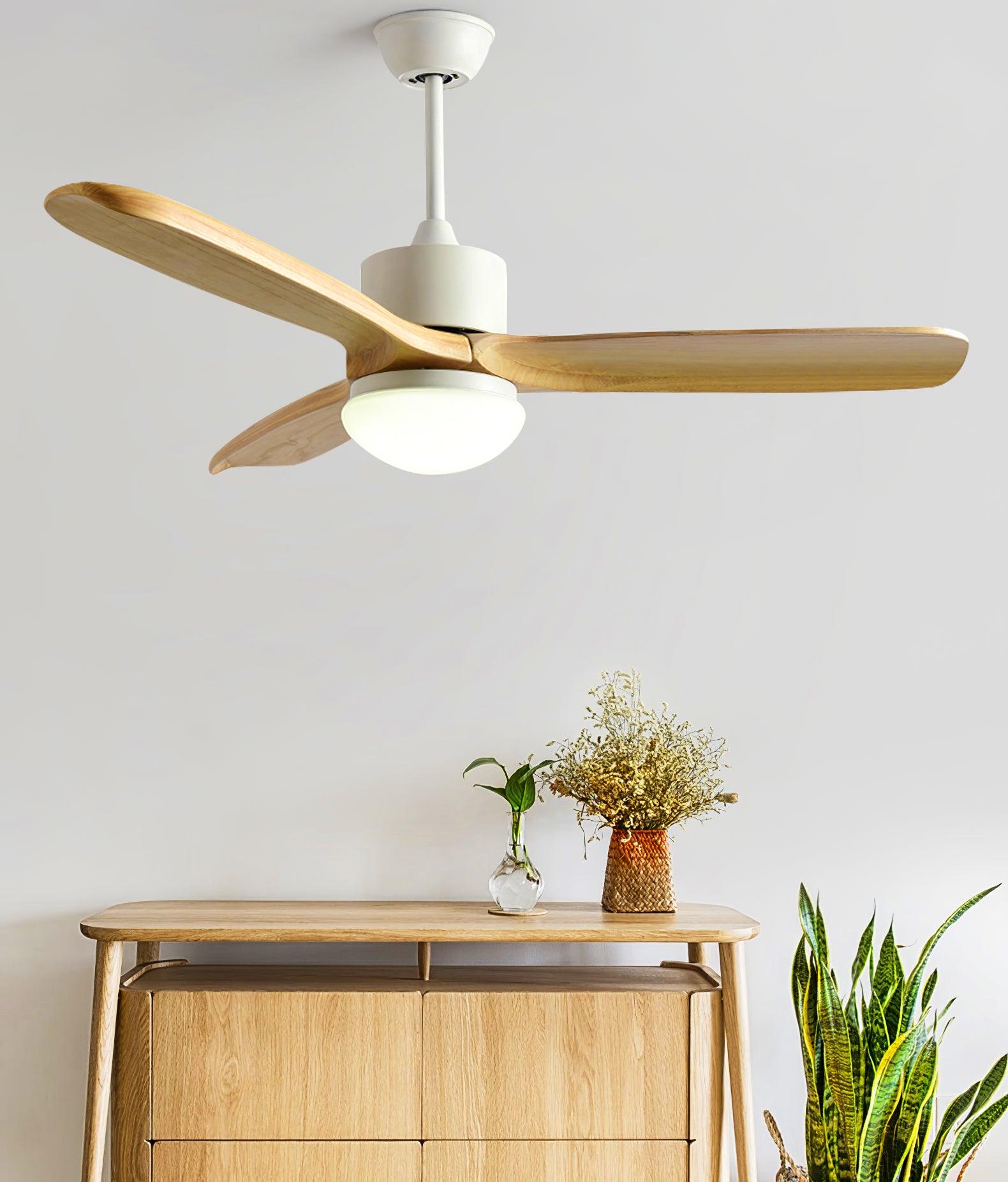 Plafonnier ventilateur Duuiné