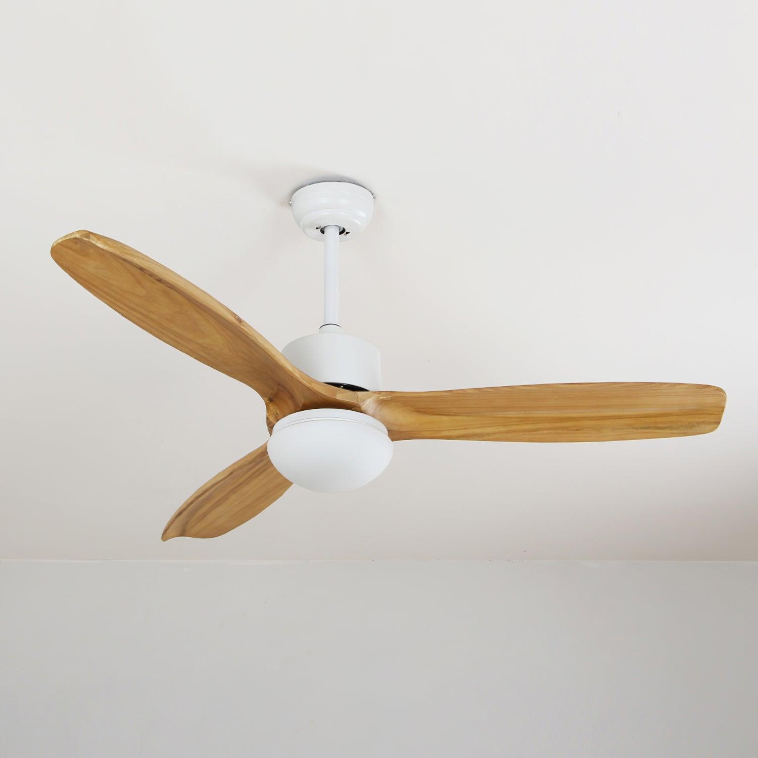 Plafonnier ventilateur Duuiné