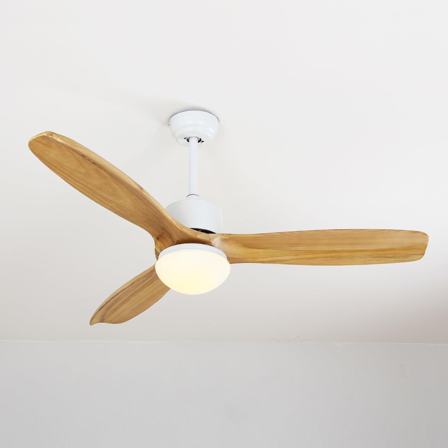 Plafonnier ventilateur Duuiné