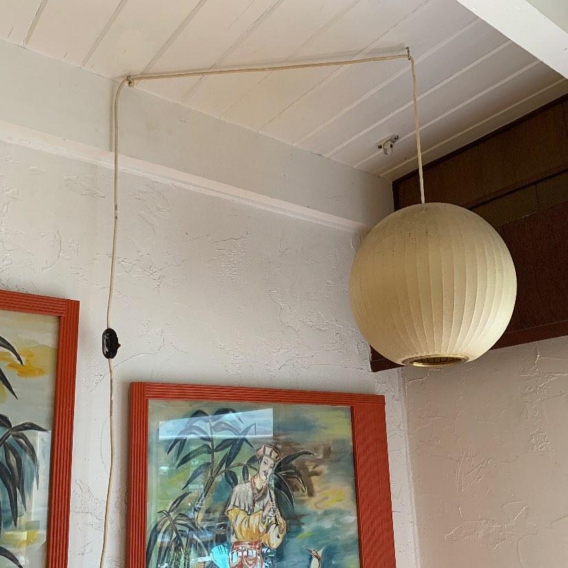 Suspension globe Tarienvielle