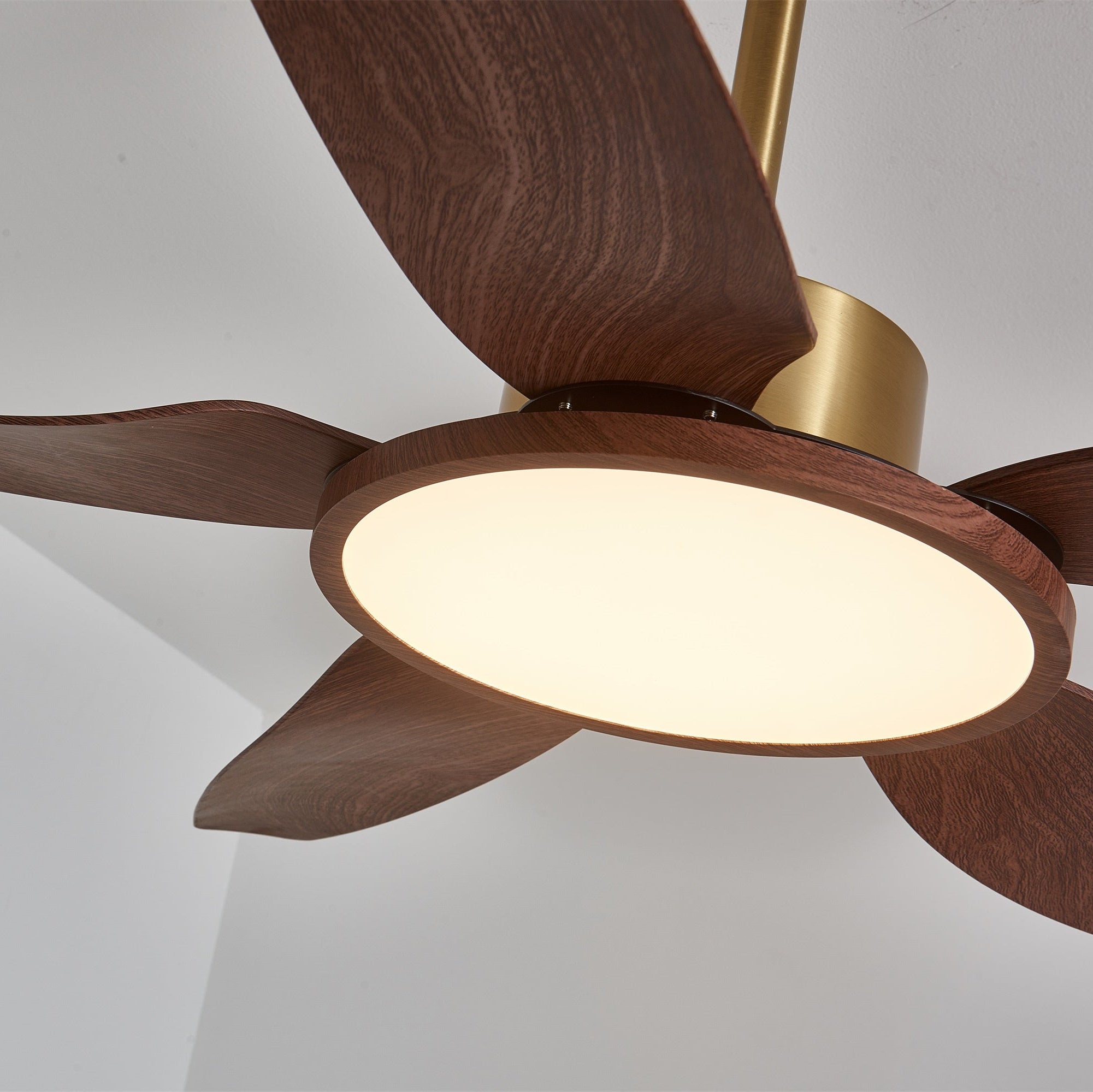 Plafonnier ventilateur Torbelvian