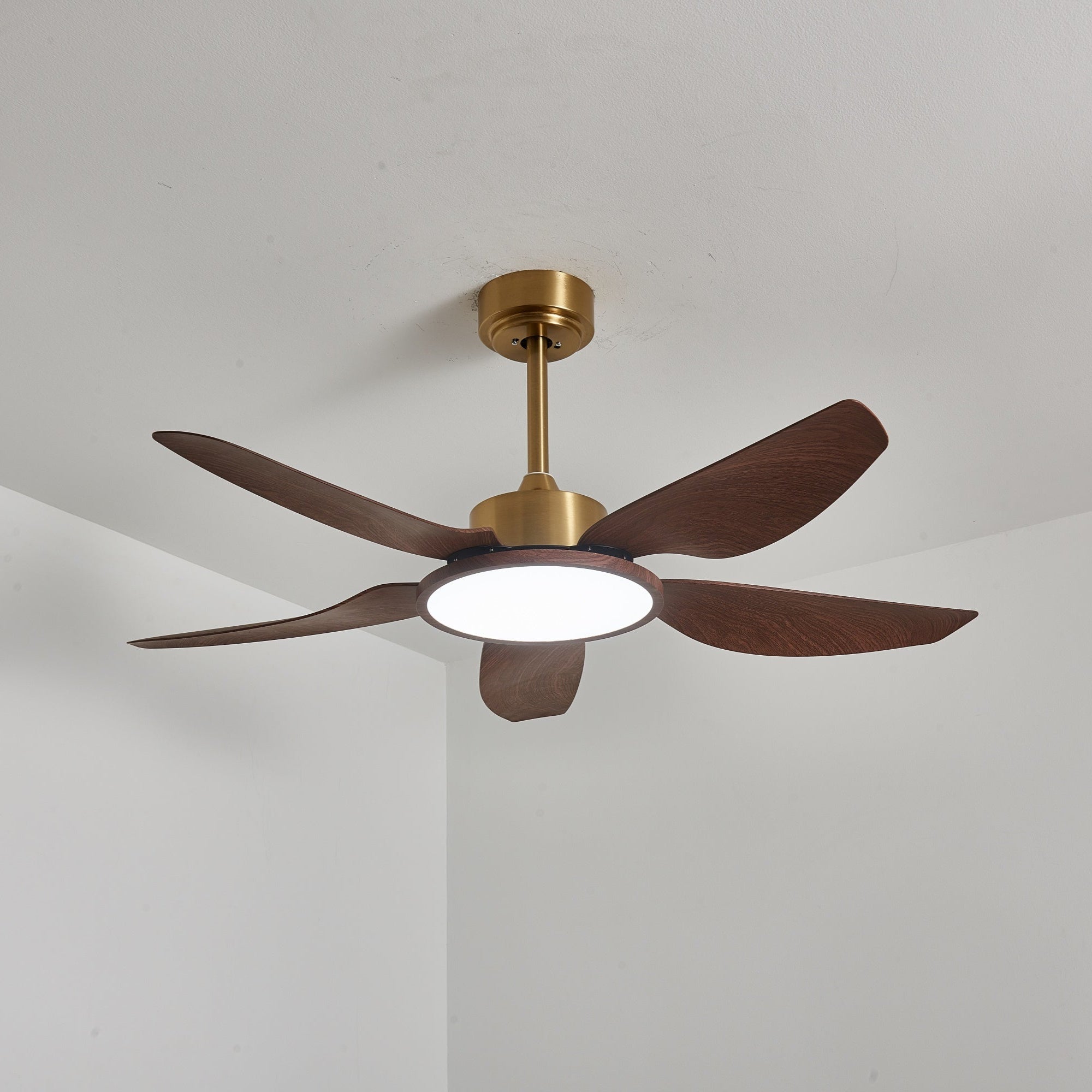 Plafonnier ventilateur Torbelvian