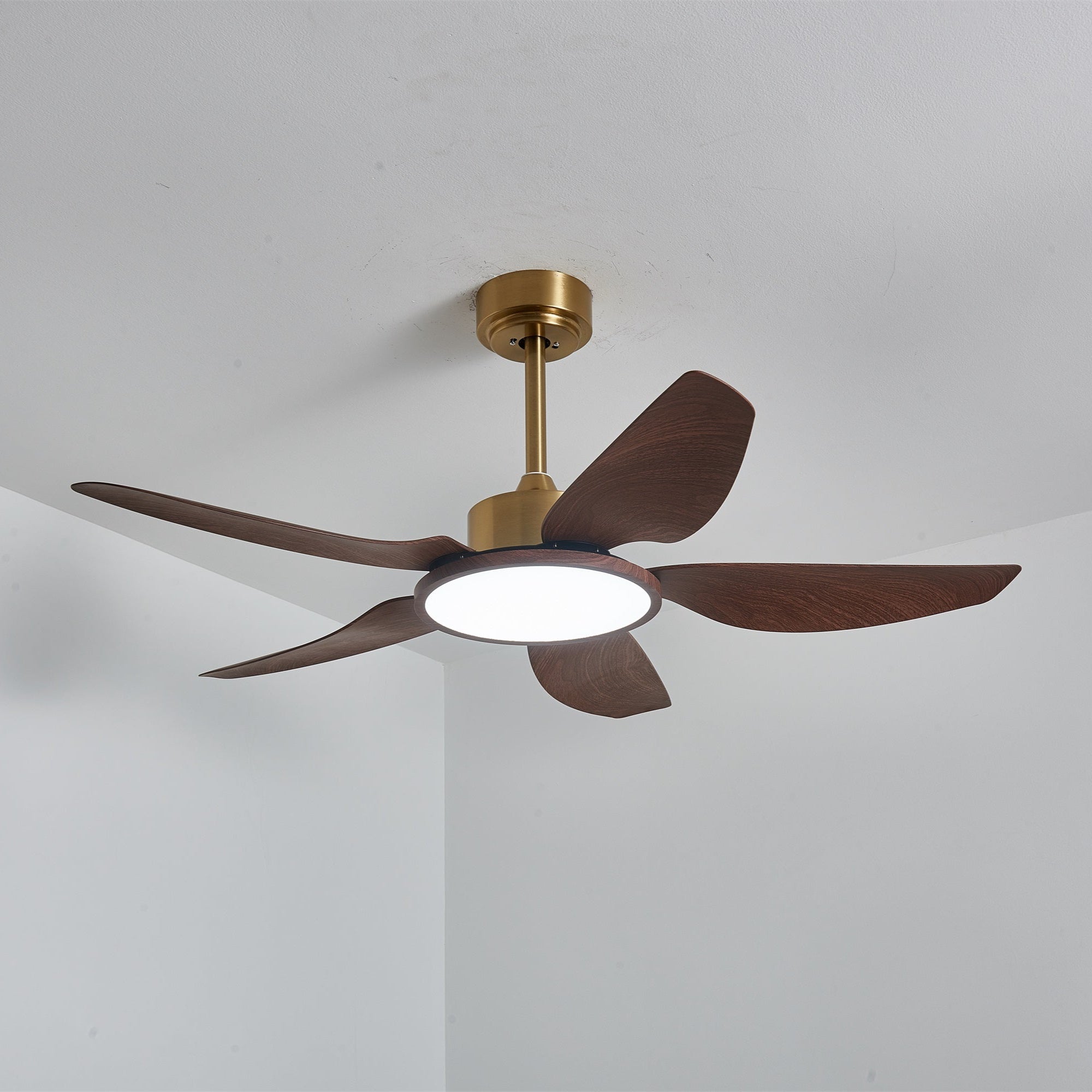 Plafonnier ventilateur Torbelvian