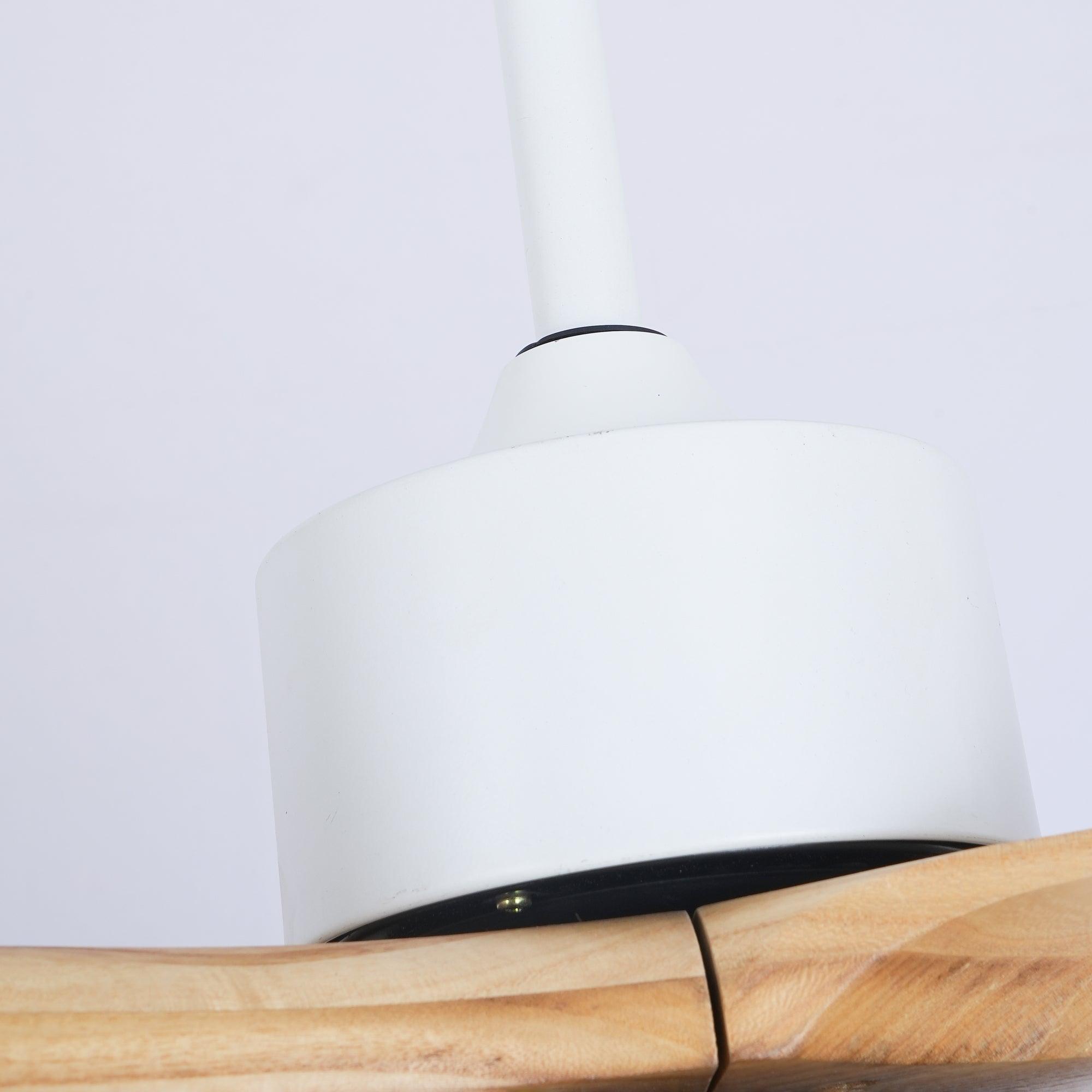 Plafonnier ventilateur Duuiné