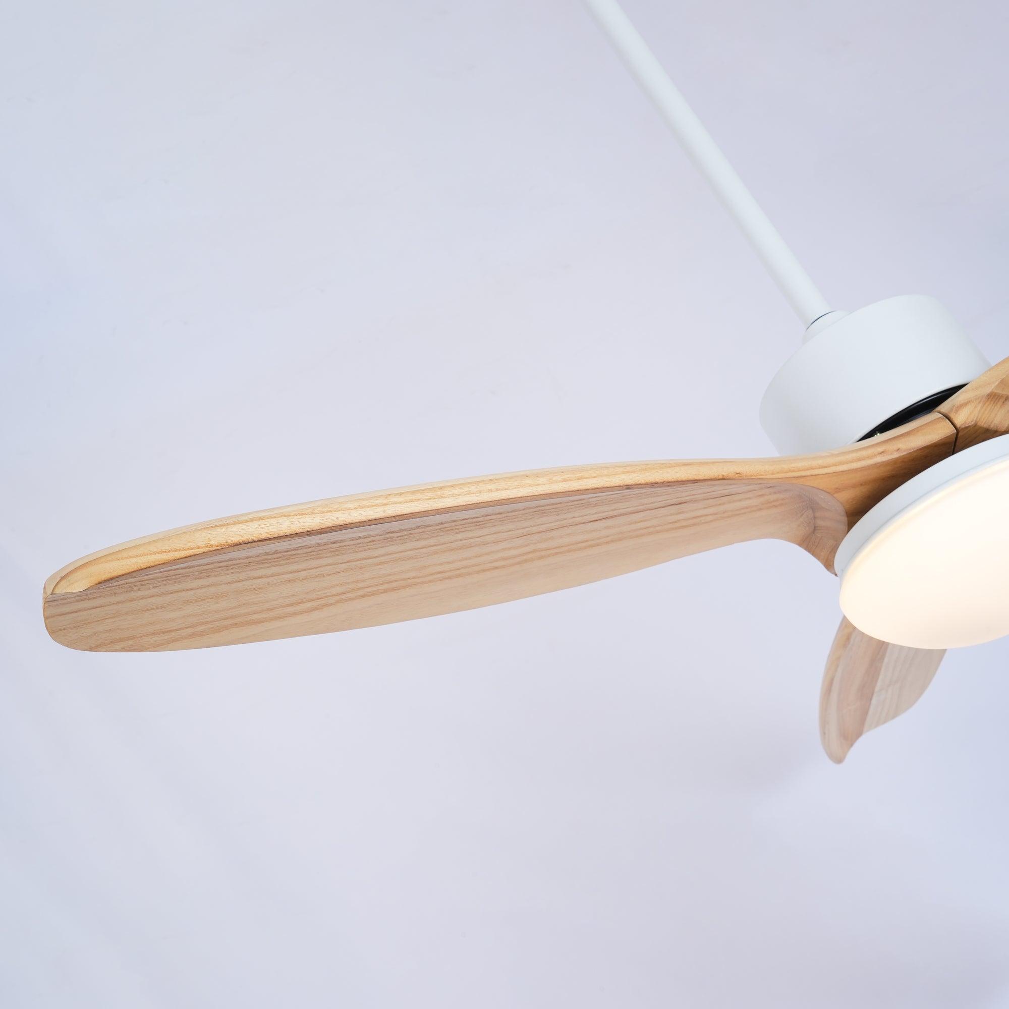 Plafonnier ventilateur Duuiné